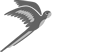 parrot logo