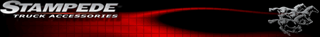 stam[ede logo